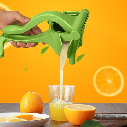 Manual Fruit Press